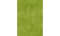 Apelt Kissen | 35 cm | Möbel Höffner