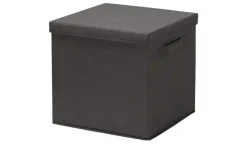 Aufbewahrungsbox mit Deckel | Schwarz | Möbel Höffner