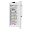 Bauknecht Standgefrierschrank GKN 272 A3+ | Höffner