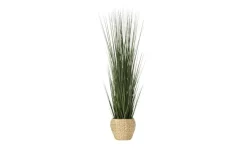 Übertopf | 24 cm | Möbel Höffner