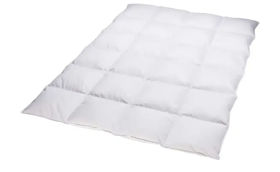Billerbeck Kassettendecke VI Belja 2.0 Edition
