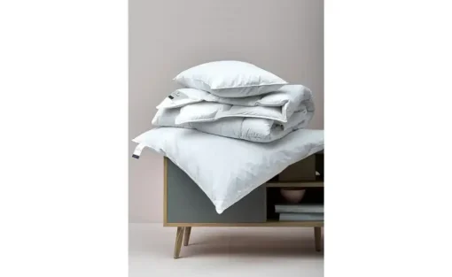 Billerbeck Kopfkissen Ariella | 40 cm | Möbel Höffner