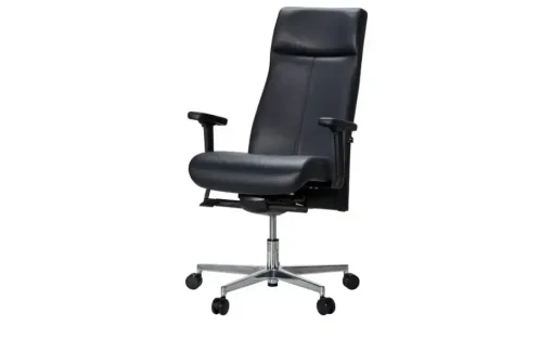 Chefsessel Sitness Director 900 | Möbel Höffner