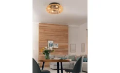 Deckenleuchte mit Ventilator | Möbel Höffner