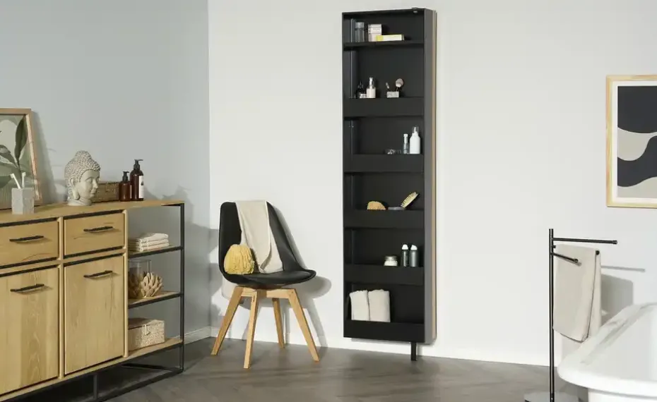 Drehspiegelschrank Anubis | Möbel Höffner