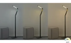 Fischer-Honsel LED-Stehleuchte, anthrazit-grau mit Dimmer | Schwarz, matt