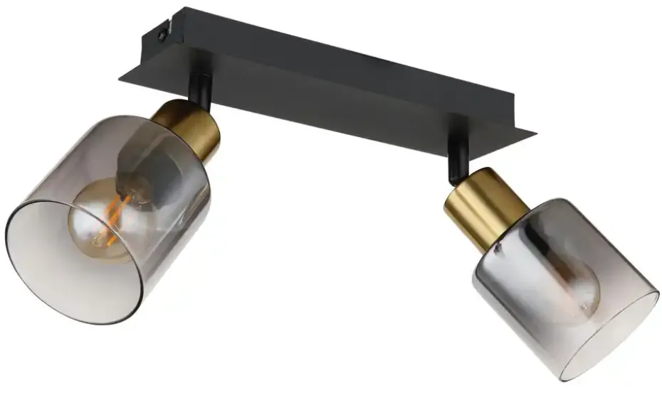 Globo Lighting Deckenstrahler | 18,2 cm, 2-flammig