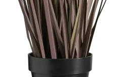 Grasbüschel getopft | 67 cm | Möbel Höffner