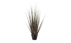 Grasbüschel getopft | 67 cm | Möbel Höffner