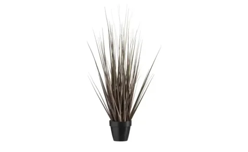 Grasbüschel getopft | 67 cm | Möbel Höffner