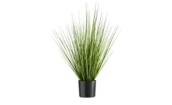 Grasbüschel getopft | 65 cm | Möbel Höffner