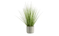 Grasbüschel getopft | 65 cm | Möbel Höffner