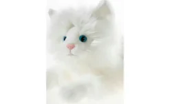 Heunec Plüschtier Schmusekatze liegend | Möbel Höffner