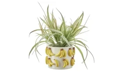 HOME STORY Übertopf Bananen | Möbel Höffner