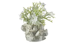 HOME STORY Vase 3D Muschel | 12 cm | Möbel Höffner