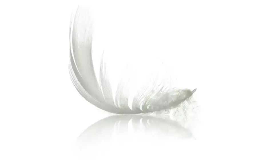 IRISETTE Daunensteppbett EDDA | 200 cm, 135 cm