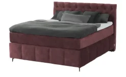 Jette Home Boxspringbett Glam New | Bordeauxrot, 160 cm