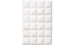 Kauffmann Winterdaunen Kassettendecke | 200 cm, 135 cm