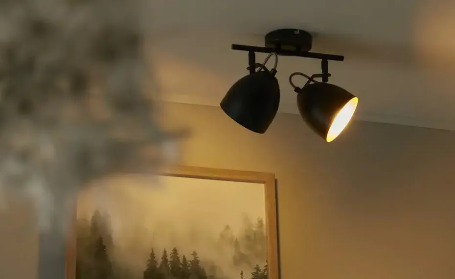 KHG Deckenstrahler, 2-flammig, schwarz innen goldfarben