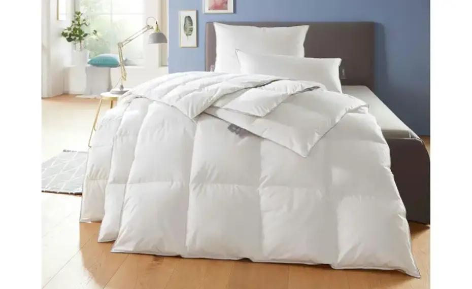 Kopfkissen  Trendline Princess | 40x80 cm | Höffner