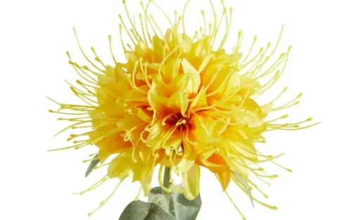Kunstblume Monarda | Gelb | Möbel Höffner
