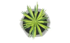 Kunstblume Sukkulente | Design I | Möbel Höffner