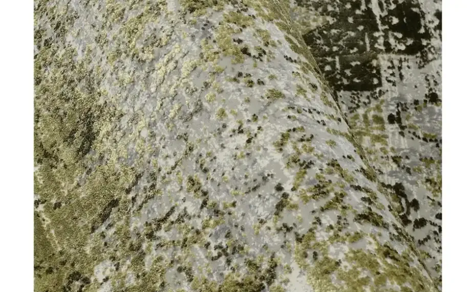 meinTeppich Webteppich Color Creek | Grün, 130 cm