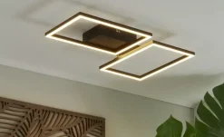 Meisterleuchten LED-Deckenleuchte 2-flammig, schwarz mit Fernbedienung | Schwarz, matt