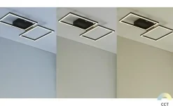 Meisterleuchten LED-Deckenleuchte 2-flammig, schwarz mit Fernbedienung | Schwarz, matt