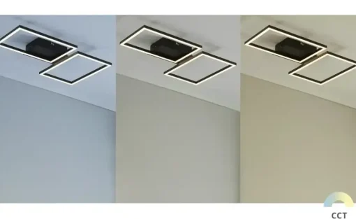 Meisterleuchten LED-Deckenleuchte 2-flammig, schwarz mit Fernbedienung | Schwarz, matt