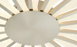 Meisterleuchten LED-Deckenleuchte, ´Sonne´ Nickel matt | silberfarben, matt, Weiß, lackiert