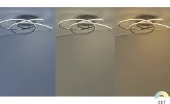 Meisterleuchten LED-Deckenleuchte Nickel-matt | edelstahlfarben, matt