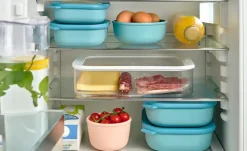 Mepal Multischüssel-Set Cirqula | Grün, Je 1 Schüssel 0,5l, 1,0l und 2,0l