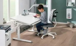 PAIDI Butler Zubehör Schoolworld | Möbel Höffner
