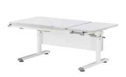 PAIDI Schülerschreibtisch Diego GT | Weiß, Kreideweiß