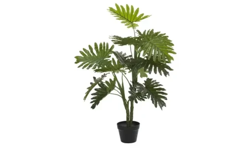 Palme getopft | Möbel Höffner