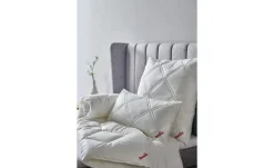Paradies Kopfkissen Softy-Kosmo Plus Bio | 40 cm