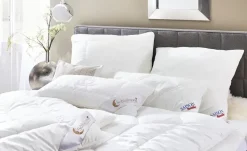 Paradies Kopfkissen Softy-Kosmo Plus Bio | 40 cm