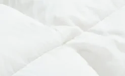 Paradies Sommer-Daunenbett Rabea | 220 cm, 155 cm