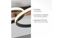 Paul Neuhaus Deckenleuchte | Möbel Höffner