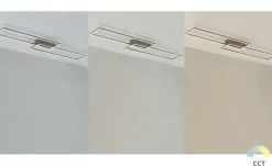 Paul Neuhaus LED-Deckenleuchte, 2-flammig, Nickel matt