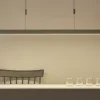 Paul Neuhaus LED-Pendelleuchte, alufarben | Höffner
