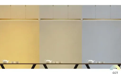 Paul Neuhaus LED-Pendelleuchte, messing-matt mit Touchdimmer