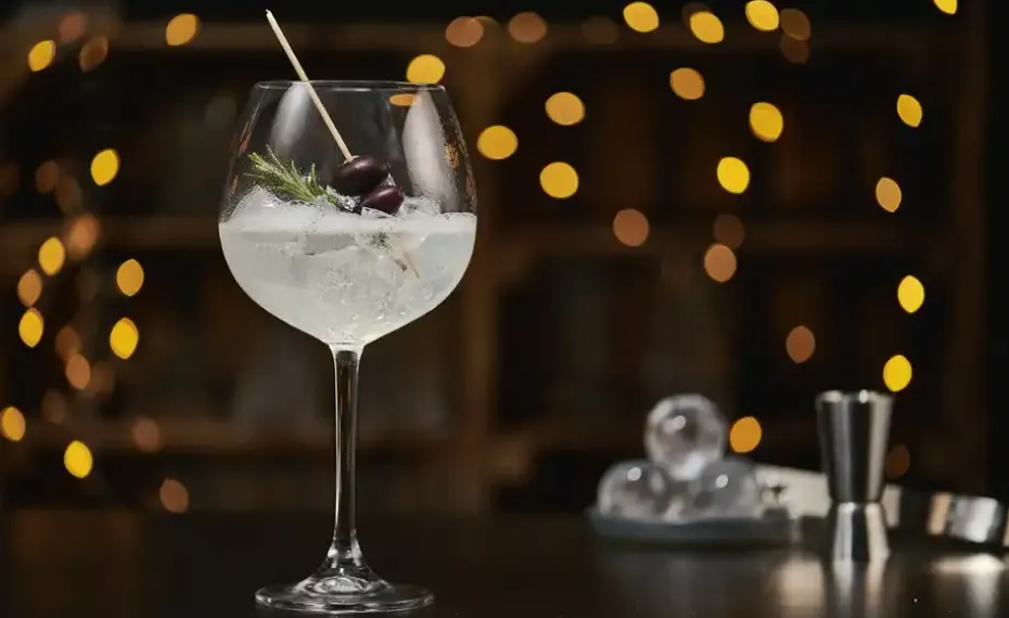 Peill+Putzler Gläserset Phoenix | Gingläser | Höffner