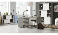 Regal Pleiße | Möbel Höffner