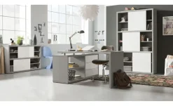 Regal Pleiße | Möbel Höffner