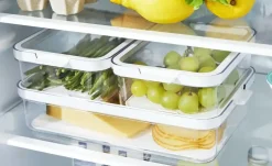 Rotho Kühlschrankorganizer-Set Cauma | 3 Stück