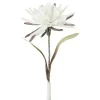Soft Flower Kaktusblüte | Weiß | Möbel Höffner