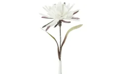 Soft Flower Kaktusblüte | Weiß | Möbel Höffner