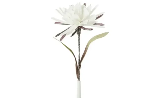 Soft Flower Kaktusblüte | Weiß | Möbel Höffner